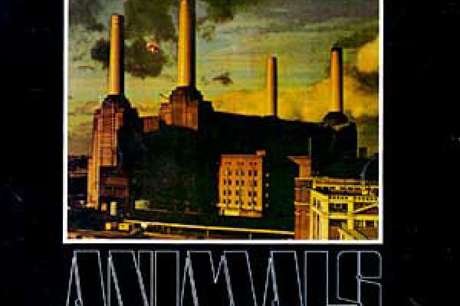 Pink Floyd 1977 Tourprogramm