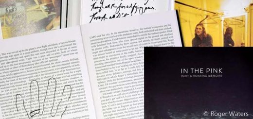 In the Pink (not a hunting memoir) by Nick Sedgwick