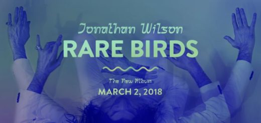 Jonathan Wilson - Rare Birds