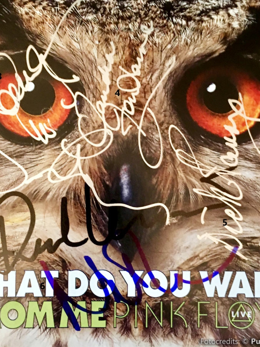 Pink Floyd What Do You Want From Me, Promo